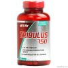 OEM는 Tribulus 750를 만났습니다 Rx