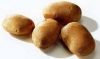 Семена Potatoe, тип a от Голландии!