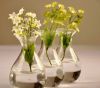 Уникально европейский comeliness соединил цветок вспомогательного оборудования домашнего обеспечения способа ваз кристаллического стекла hydroponic, подарок новоселья зеленый