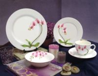 Комплекты Dinnerware фарфора