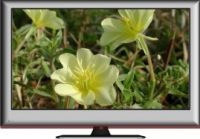 СИД Tv 21,6"