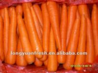 верхняя свежая морковь 2012