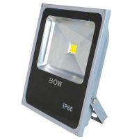 0.5w 칩을 가진 신식 Led 홍수 빛 80w $14.8