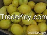 Свежий лимон Юрики | Известки | Лимон| Авокадо | Яблоки