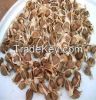 Morenga seeds