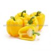 Organic Capsicum Yellow Red Green for sale