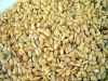 Organic Golden Flax Seed