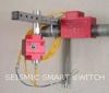 Seismic Smart Switch