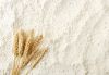 Wheat Flour, Quinoa Flour, Wheat Bran, Soya Flour, Maize grains, Maize flour   