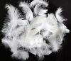 2-4cm factory price cheap down feather washed white duck feathers for sale