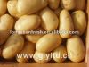 цена 2012 картошки фарфора