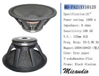 профессиональный диктор Pa-21xy10125