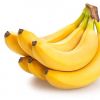 BANANA Cavendish Banana Green 10 Kg Premium Grade with ISO / SGS Certification Fresh 100% Maturity 