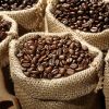 Top grade Arabica Coffee Beans, Robusta Coffee Beans, Green Coffee Beans