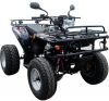 EEC를 가진 ATV 250cc