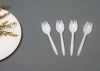 пластичное spork