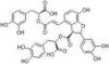 Salvianolic 산 B