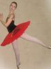 Профессиональный костюм Dulcinea балета