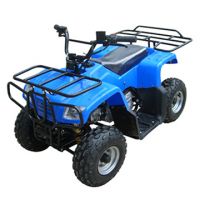 신식 50cc Atv