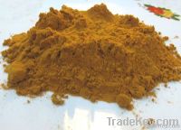 Порошок Masala, Satureoides Achyrocline