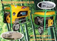 Portable Gasoline Generator Se