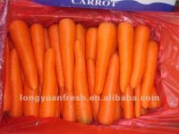 Морковь китайца 316 свежая