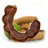 High Quality Tamarind With Seed And Without Seeds for sale