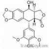 4' - Demethylepipodophyllotoxin