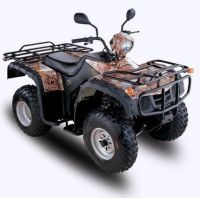 Epa 250cc участвуя в гонке велосипед/квады Atv /qua