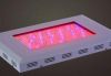 LED Grow Lights