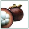 Mangosteen Juice - Bulk or Wholesale