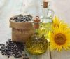 sunflower oil 