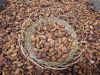 100% certified organic cocoa - raw beans