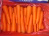 консигнант моркови