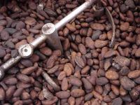 Африканские тимберс, фасоли почки, арахисы, какао и кофе