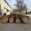 Pine, Teak, Spruce, Eucalyptus, Ceedar, Beech, Fir, Cherry, Hardwood, Rosewood, Hemlock, Oak Logs