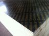 shuttering plywood, marine plywood, film face ply, cheap film faced plywoo