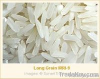 Длинний рис зерна Irri-9 белый