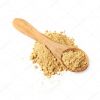 Ginger Extract Powder for Sale