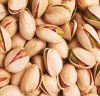 High quality pistachio