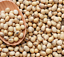  Soy bean Premium-Quality Soybean