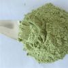 100% pure natural Organic Moringa leaf Powder for Buyers