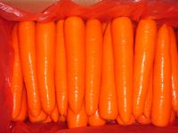 Свежие морко...