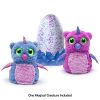 Hatchimals Green/Blue Egg Hatching Egg Owlicorn Penguala Draggles Burtle Bearakeet