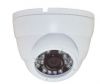 IPC-E310S 1.0 Megapixel Indoor Dome IP Camera