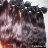 Eclectic Human Hair Extensions