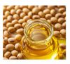 Refined &amp; Crude Soybean Oil &amp; Soy Bean Oil for Cooking/Refined Soyabean Oil Soybean Refined Oil for Sale Best Market Prices