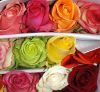 Розы и цветки от Эквадора