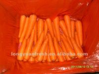 свежее желтое начало Шаньдуна моркови