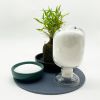 Best Cationic Polymer Flocculant High Quality Water Treatment Catalyst Cheap Price Raw Materials Cationic Polyacrylamide
